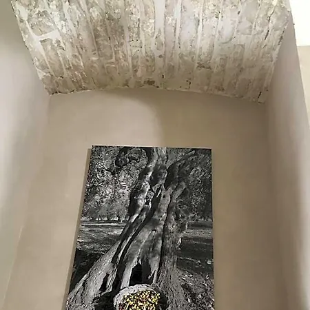 Casa Rubis