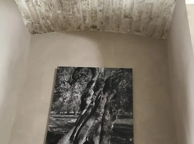 Bed and breakfast Casa Rubis 4*